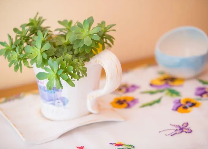 Thomas Сasa de vacaciones