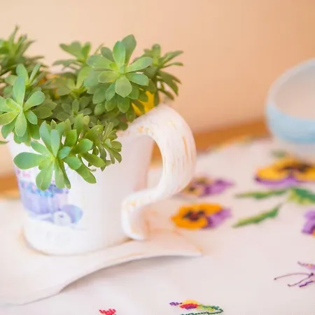 Thomas Casa de Férias